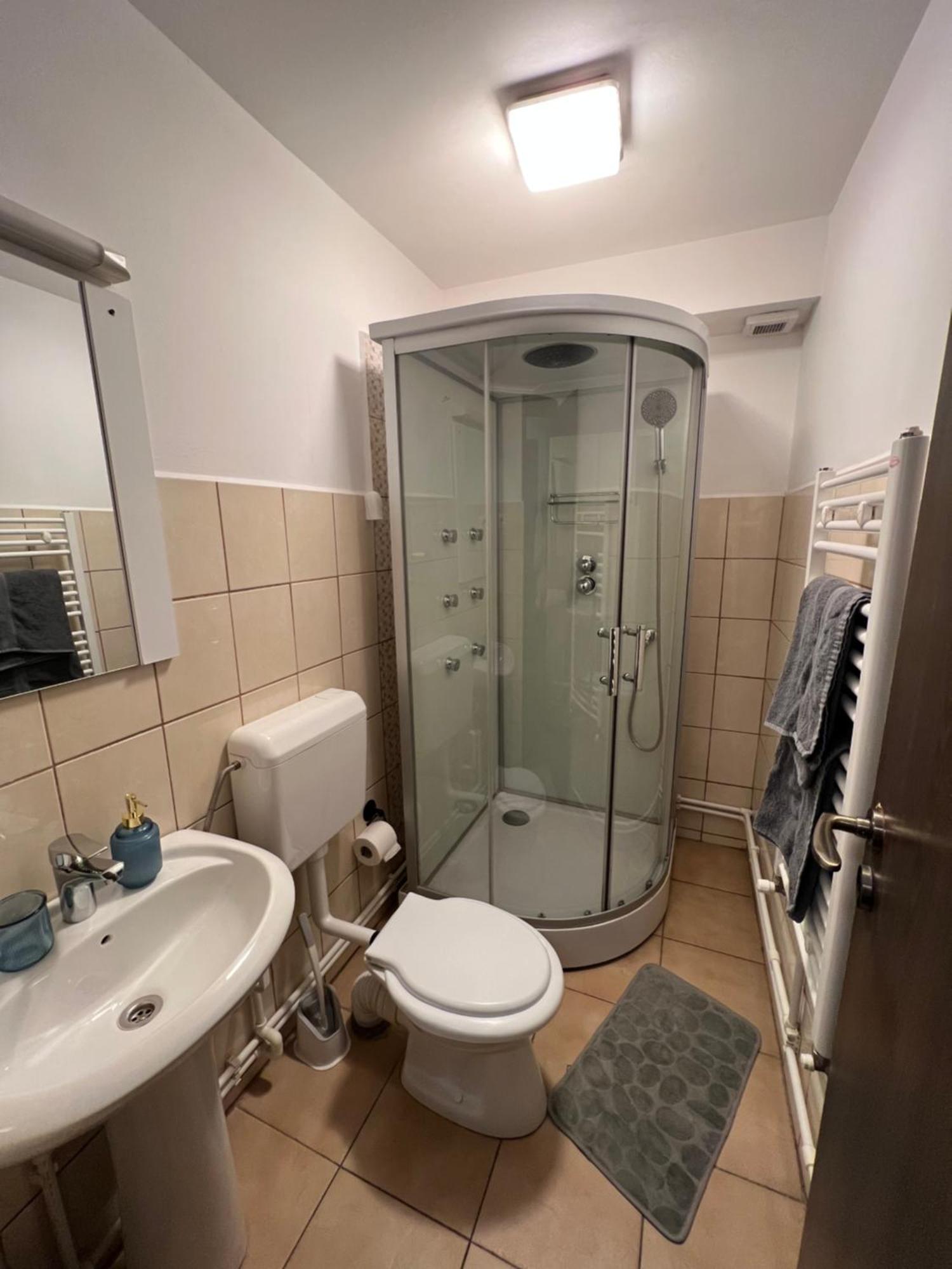 Old Vintage Villa Braşov Extérieur photo