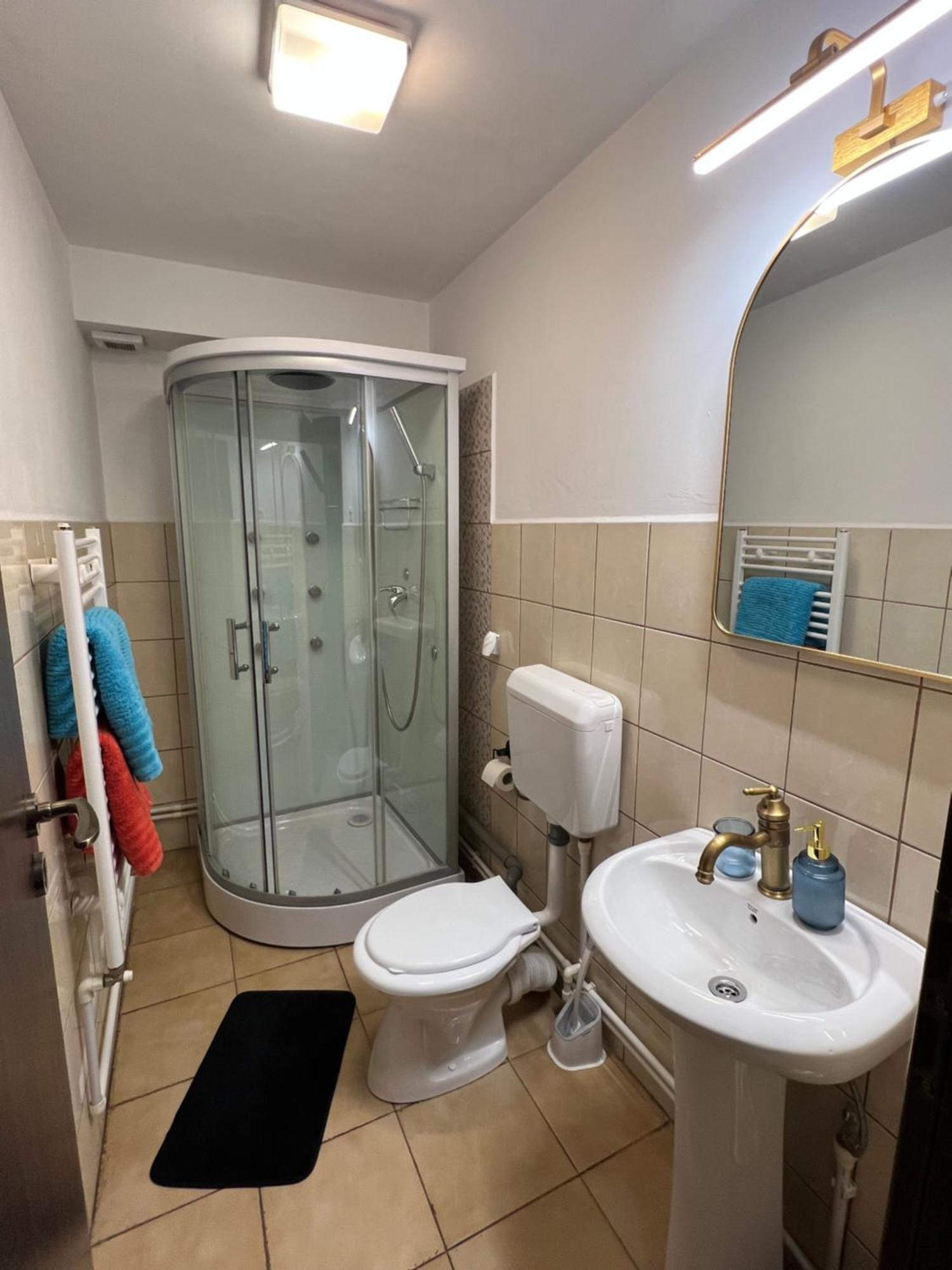 Old Vintage Villa Braşov Extérieur photo